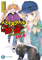 Light novel (tom DX 6) okładka.jpg